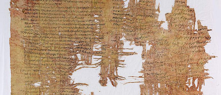 Papyrus Cotton, Detail