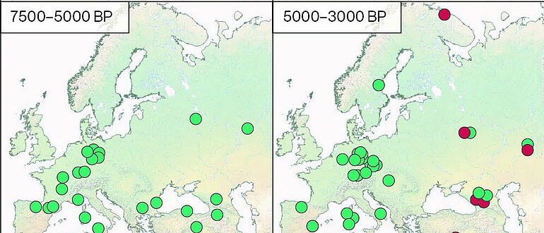 Karte: Geografische Verteilung historischer HBV-Genome