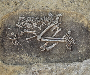 Bronzezeitlicher Pesttoter