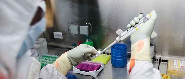 Vorbereitungen für aDNA-Analyse von Knochenproben