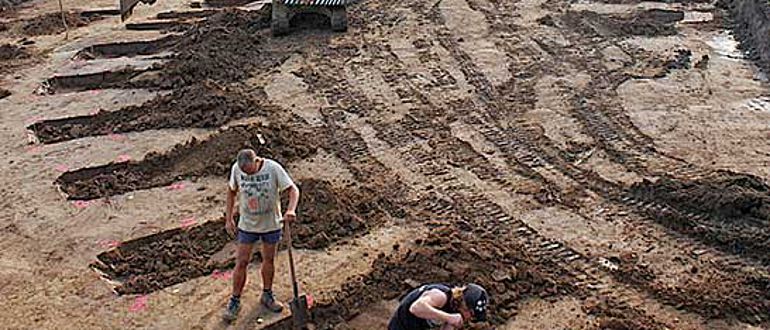 steinzeitliche Zäune