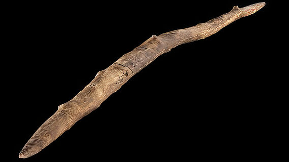 300.000 Jahre altes Wurfholz aus Schöningen