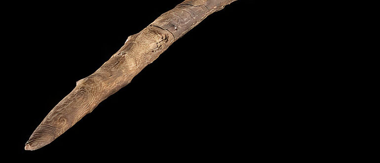 300.000 Jahre altes Wurfholz aus Schöningen