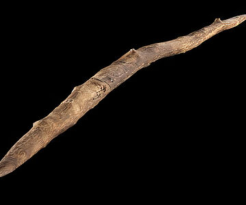 300.000 Jahre altes Wurfholz aus Schöningen