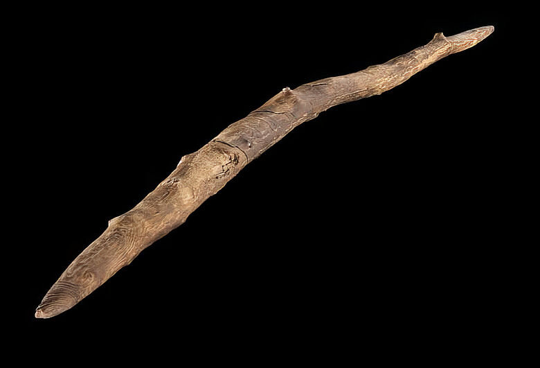 300.000 Jahre altes Wurfholz aus Schöningen