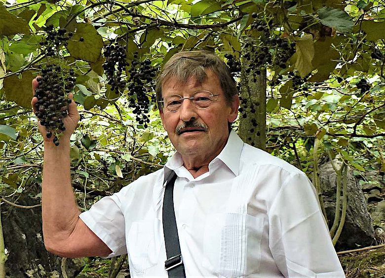 Prof. Dr. Peter Kupfer von der JGU in einer Wildrebenanpflanzung in Südchina