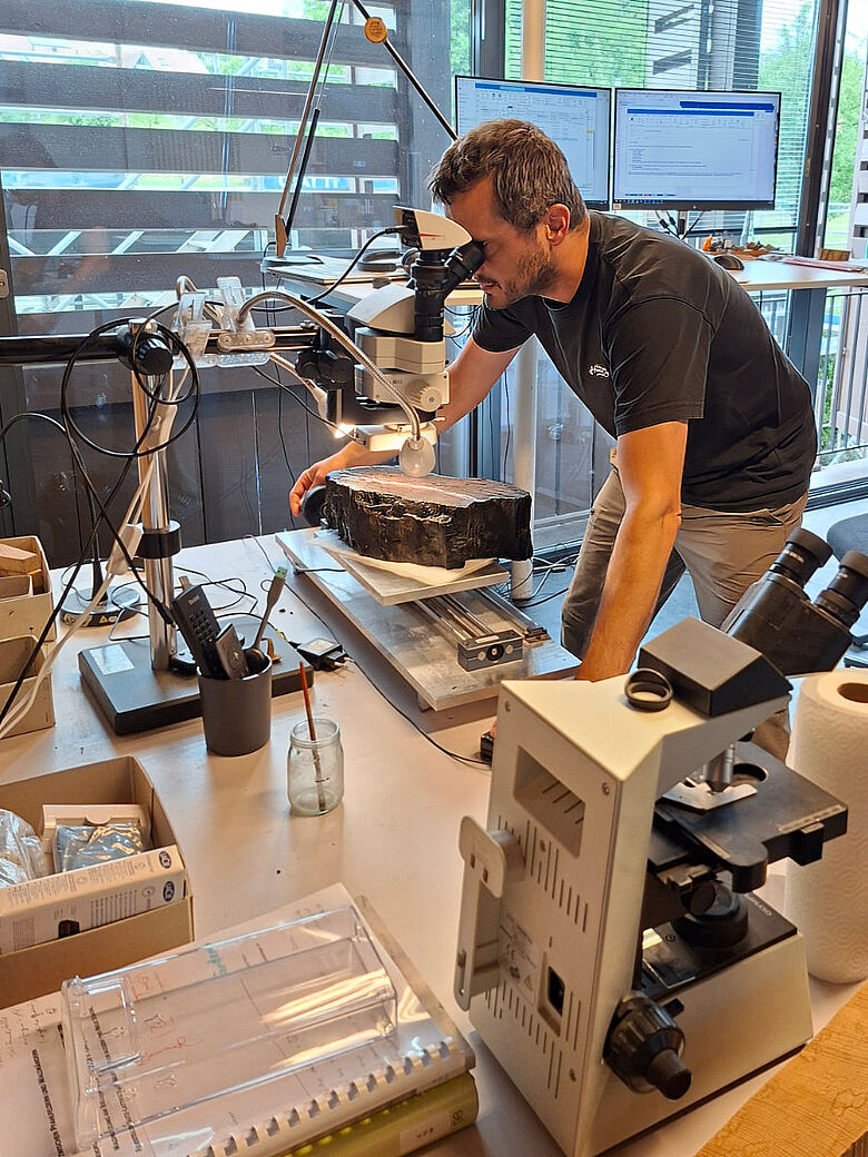 Dendrochronologische Untersuchung Dendrochronologische Untersuchung