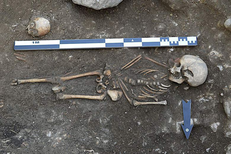 Skelett eines bei Ausgrabungen entdeckten Kindes aus einer frühmittelalterlichen Siedlung im Jauntal