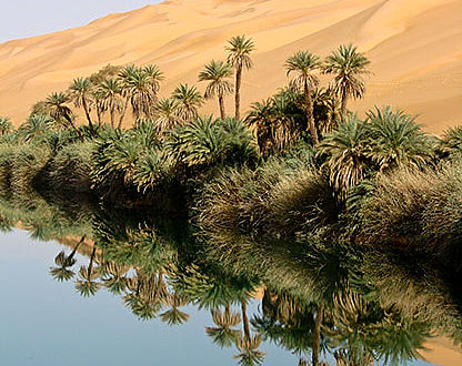 Wasser in der Sahara
