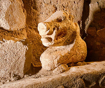 Wildschweindarstellung Göbekli Tepe
