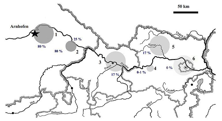 Verbreitungskarte Plattenhornstein im Mittelneolithikum Verbreitungskarte Plattenhornstein im Mittelneolithikum