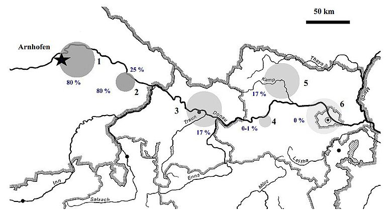 Verbreitungskarte Plattenhornstein im Mittelneolithikum Verbreitungskarte Plattenhornstein im Mittelneolithikum