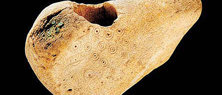 Mit Kreisaugenmotiven verzierte bronzezeitliche Hirschgeweihaxt. © LDA Sachsen-Anhalt