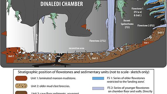 Illustration der Fundsituation und Fundschichten in der Dinaledi Kammer
