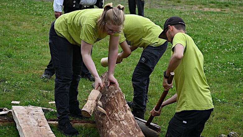 Das Spalten der Stämme ist keine einfache Aufgabe