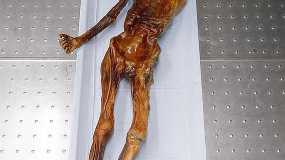Ötzi ist die weltweit älteste bekannte Feuchtmumie (Foto: EURAC)