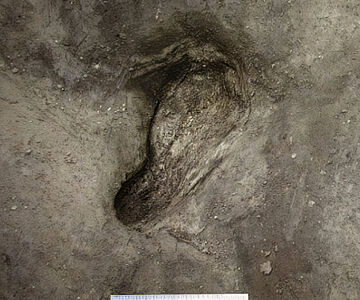 Pleistozäner Fußabdruck in Schöningen