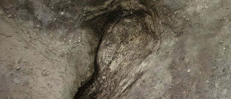 Pleistozäner Fußabdruck in Schöningen