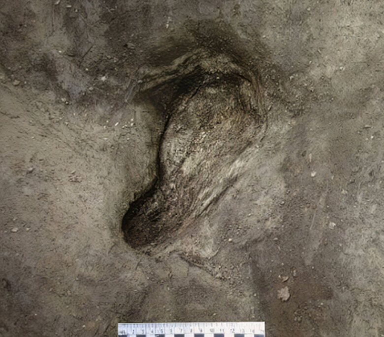 Pleistozäner Fußabdruck in Schöningen