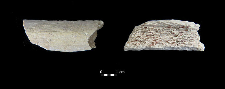 »Star 1« Fragment eines Neandertalerknochens
