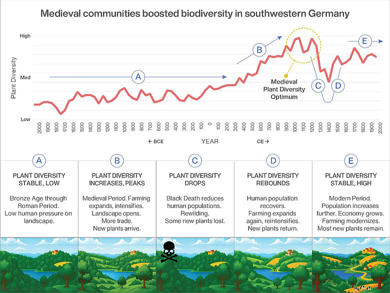 Infografik zur Veränderung der Pflanzenvielfalt im Laufe der Zeit