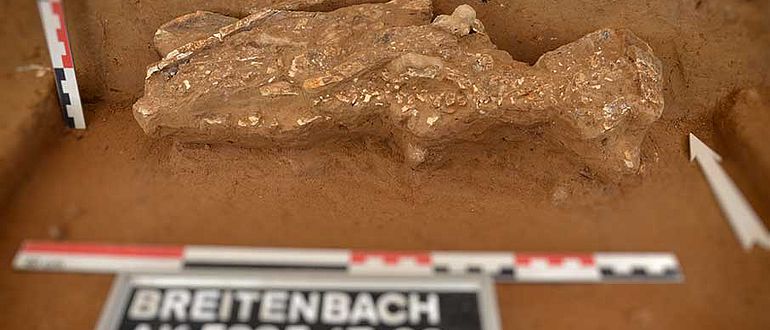 Elfenbeinsplitter Breitenbach