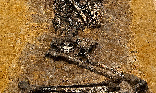 7.100 Jahre altes Skelett einer jungen Frau
