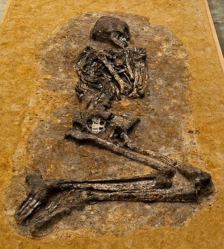 7.100 Jahre altes Skelett einer jungen Frau