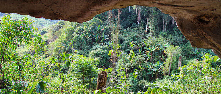 Tam Ham Marklot-Höhle, Laos