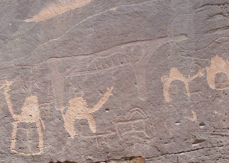 Abgemagertes Vieh mit hervorgehobenen Rippen (darunter Kamele) in Felszeichnungen wurde als Zeichen für Mangelernährung und Hunger aufgrund von belastenden Umweltbedingungen interpretiert