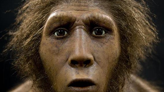 Die Rekonstruktion des 400.000 Jahre alten Homo erectus (Foto: LWL/Oblonczyk)