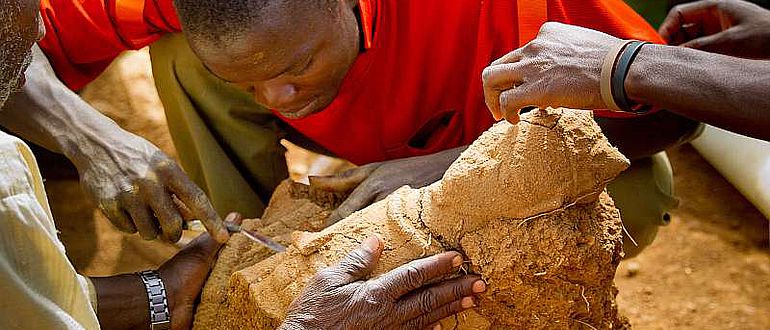 Ausgrabungen an der Fundstelle „Ifana“ im Frühjahr 2011 in Nigeria: Sorgfältig legen die afrikanischen Helfer das Oberteil einer menschlichen Terrakotta frei (&copy; Prof. Peter Breunig, Goethe-Universität Frankfurt)