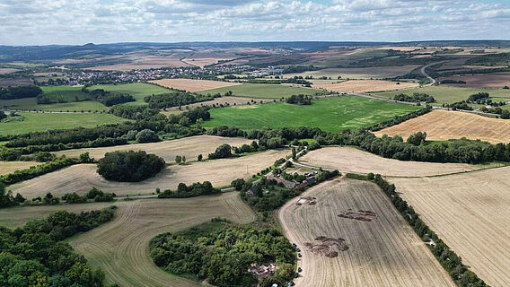 Ausgrabung Kloster Kaltenborn 2025