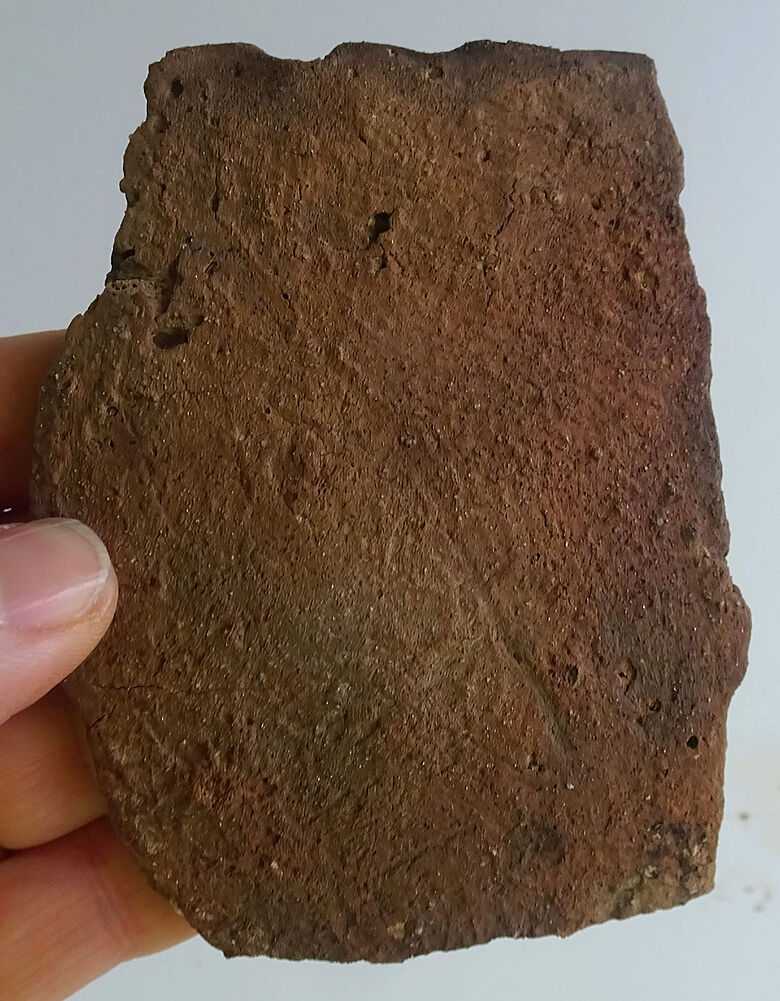 Eisenzeitliche Keramikscherbe Eisenzeitliche Keramikscherbe