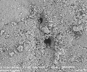 Atmungspore in Eierschale aus Tashbulak