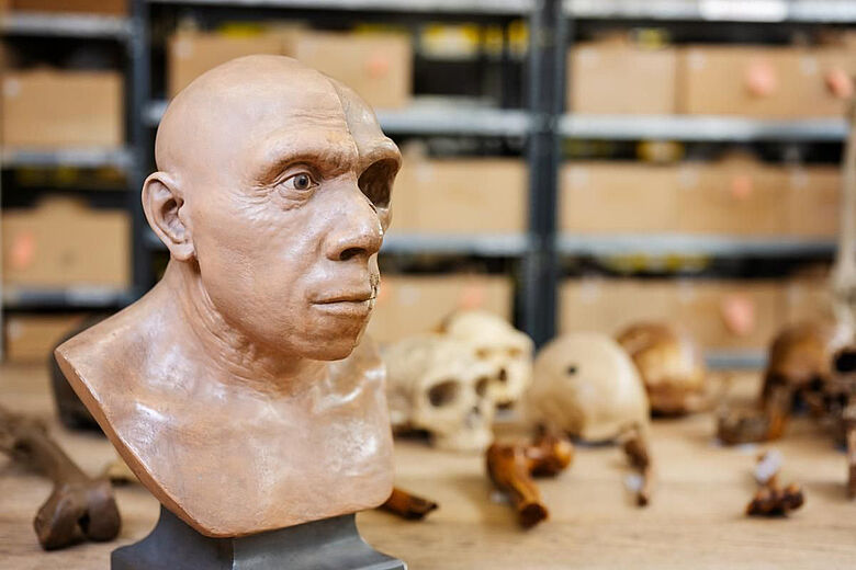 Gesichtsrekonstruktion Neandertaler