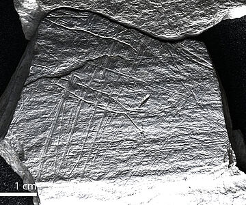 Altsteinzeitliche Gravur auf Schieferplatte