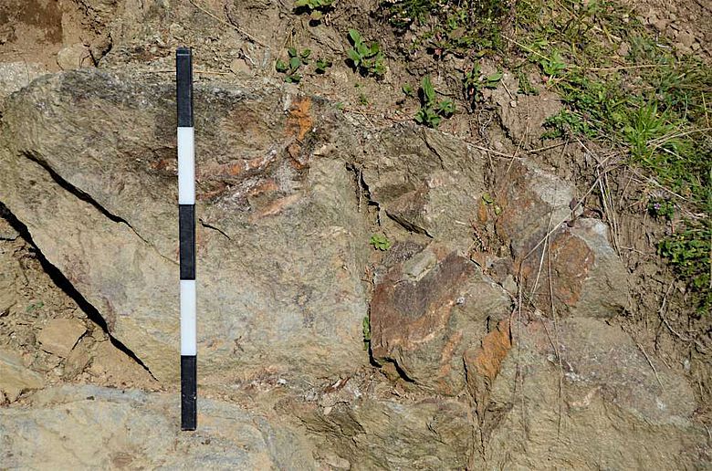 In dem im Grabungsschnitt 2021 freigelegten Felsen fanden sich zahlreiche Klüfte, die mit Eisenoxyd (braun) verfüllt waren und die zusammen mit den Quarzgängen untrüglich auf eine Vererzung hinweisen