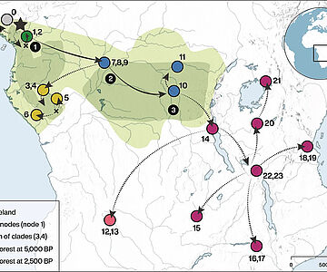 Rekonstruktion der Bantu-Migrationen