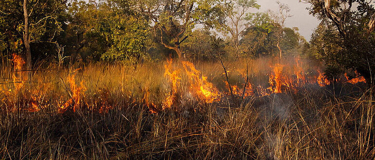 Savannenfeuer in Afrika