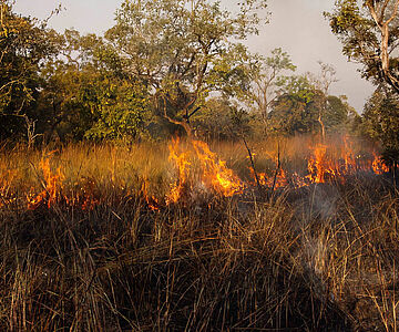 Savannenfeuer in Afrika