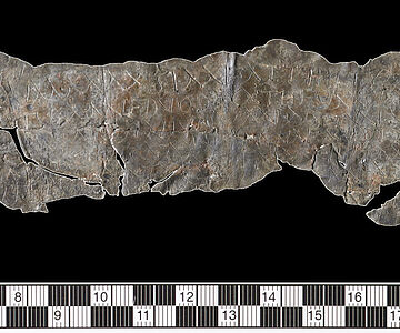 Fluchtäfelchen mit Verwünschung der Priscilla