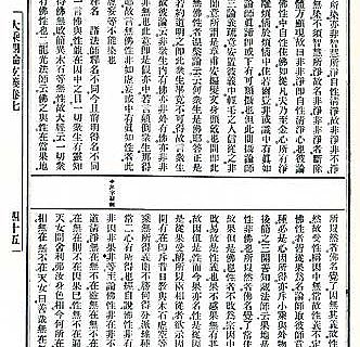 Eine Seite aus dem buddhistischen Kommentartext in der modernen Standardausgabe