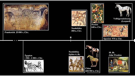 Beispiele von Tigerschecken bei Pferden in Artefakten und Abbildungen