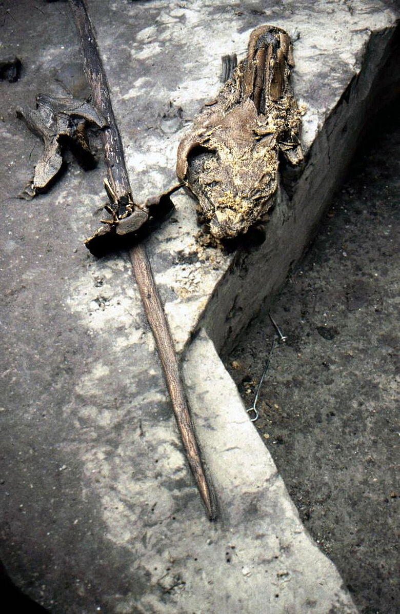 Pferdeknochen neben Schöninger Speer