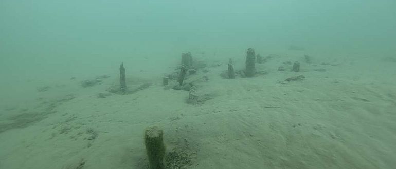 Pfähle der spätbronzezeitlichen Seeufersiedlung im Thunersee