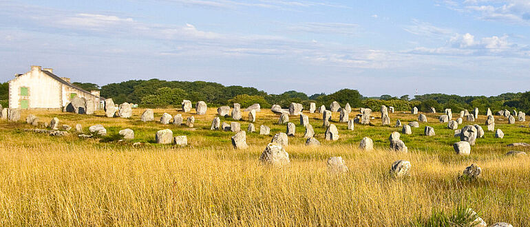 Carnac Menhire