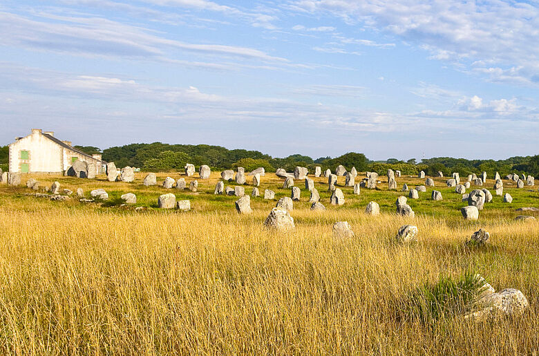 Carnac Menhire