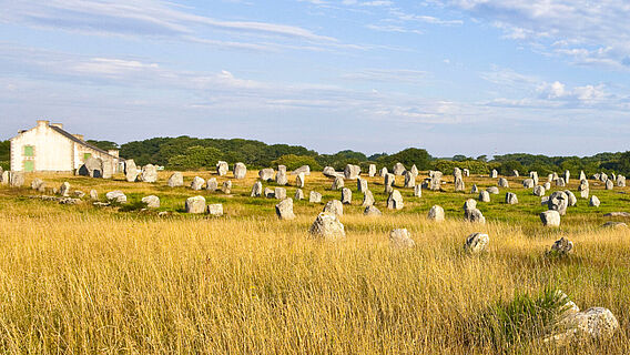 Carnac Menhire
