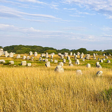 Carnac Menhire